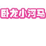 卧龙小河马
