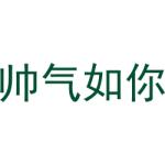 帅气如你