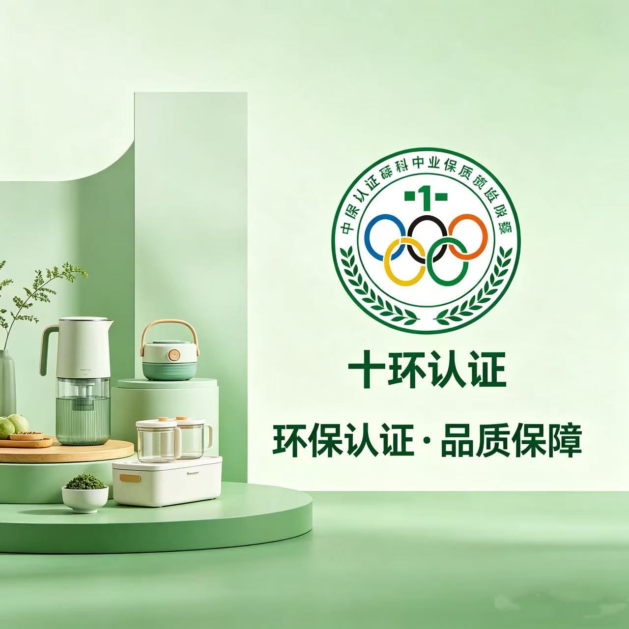 十环认证
