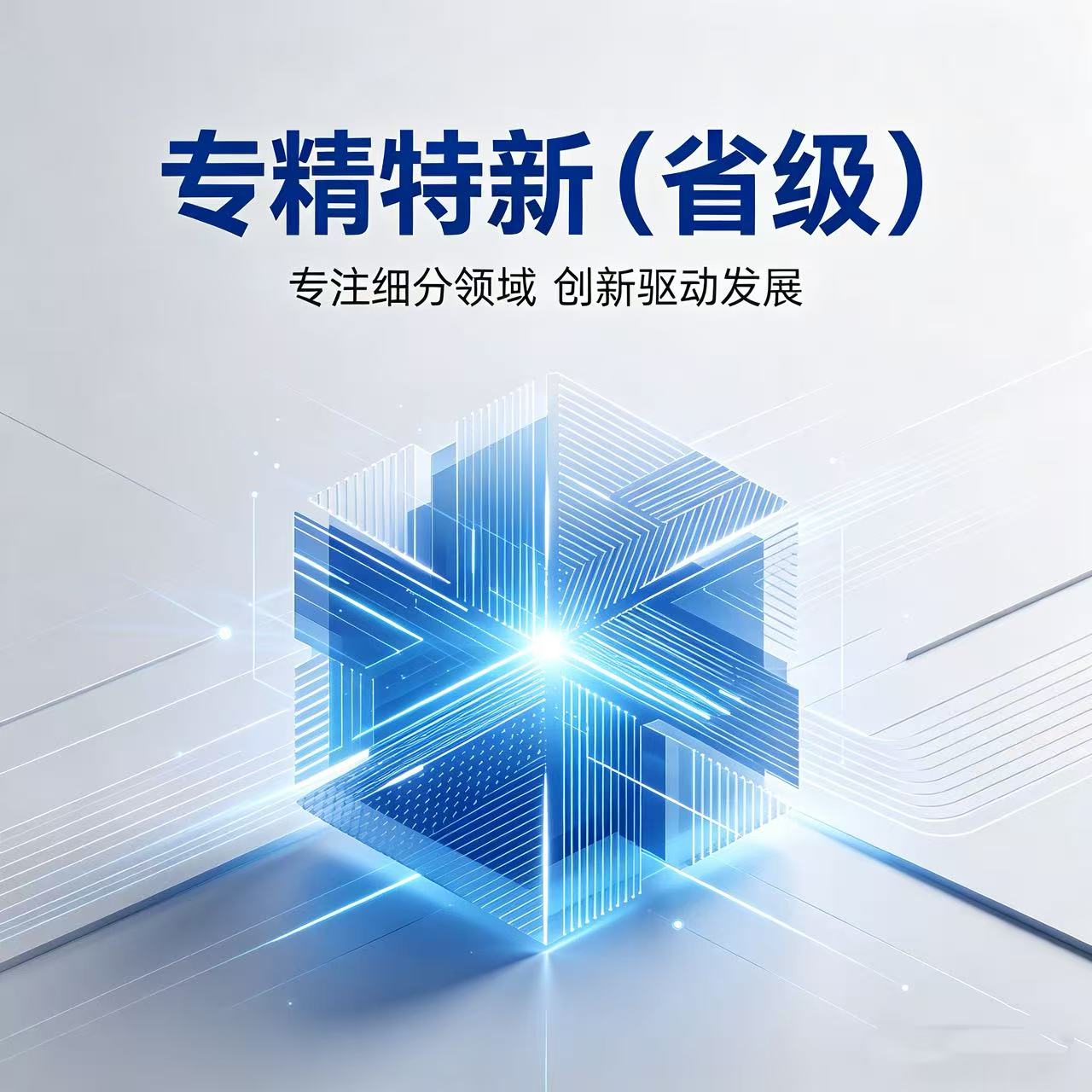 专精特新（省级）