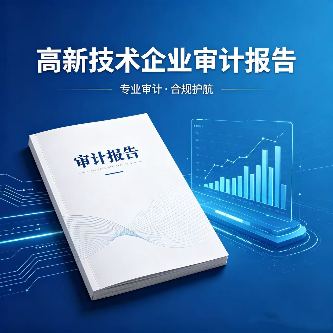 审计报告